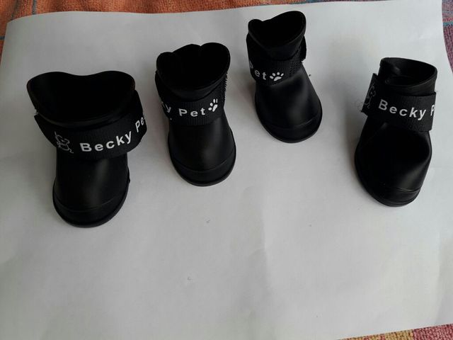 misura degli stivali da cucciolo. X