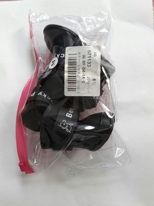 misura degli stivali da cucciolo. X