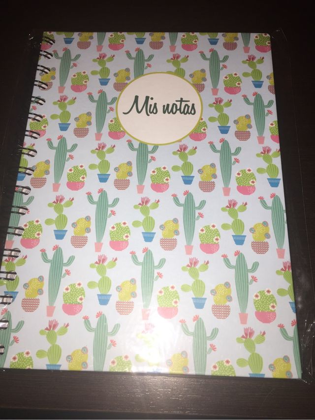 Cuaderno mr wonderful
