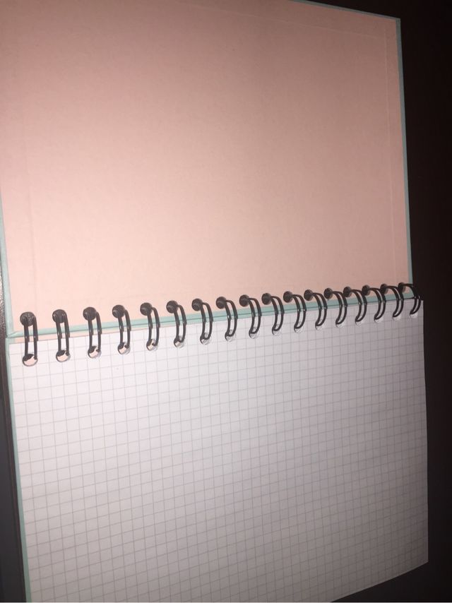 Cuaderno mr wonderful