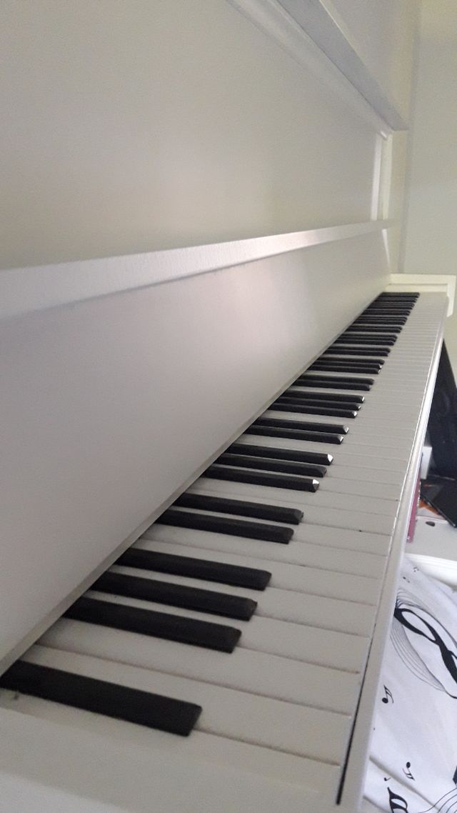 se realizan todo tipo de trabajos de decoración