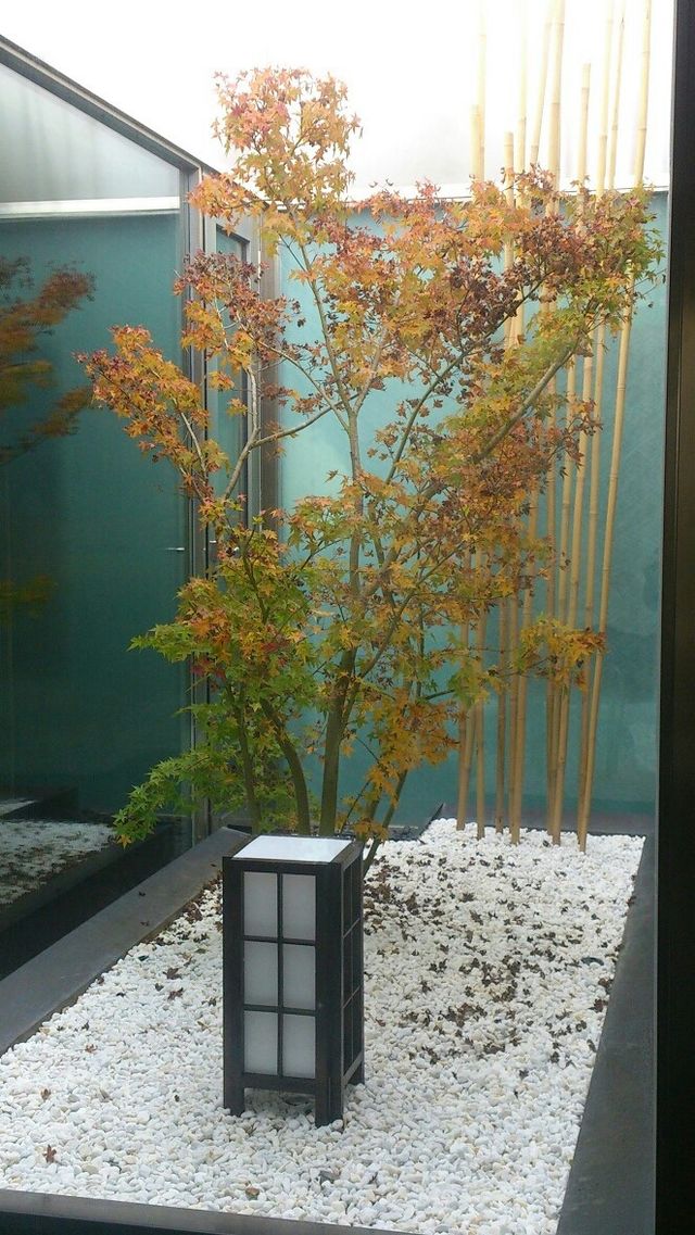 Ideal regalo. Lámparas estilo japones.