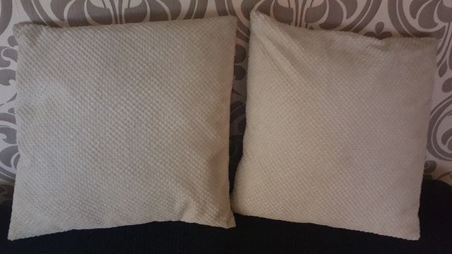 2 Cojines con relleno incluido