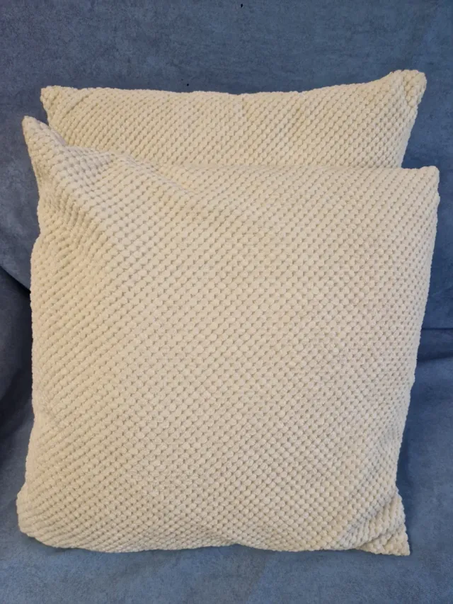 2 Cojines con relleno incluido