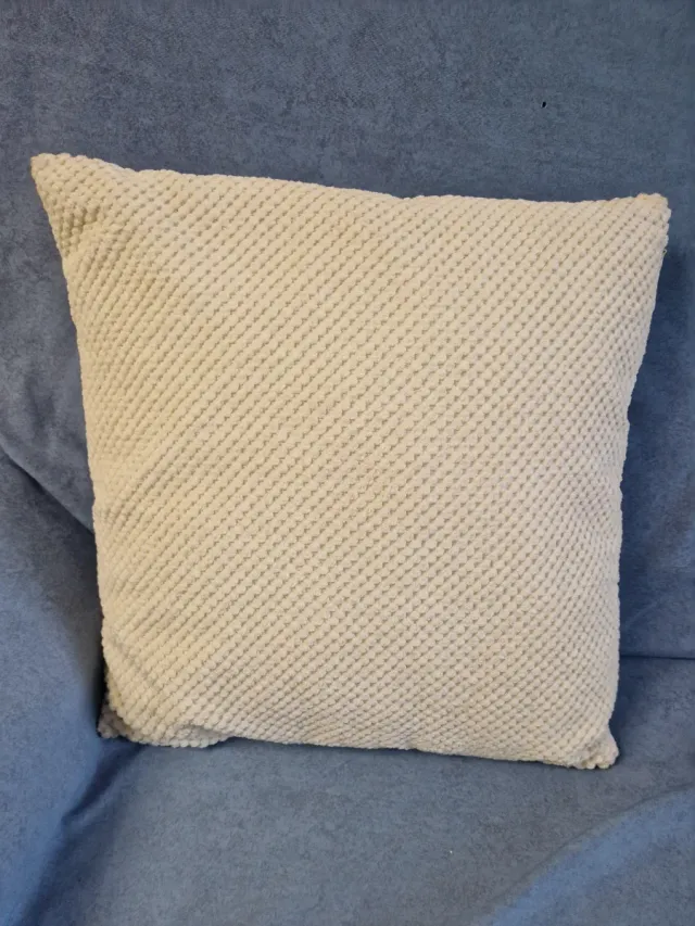 2 Cojines con relleno incluido