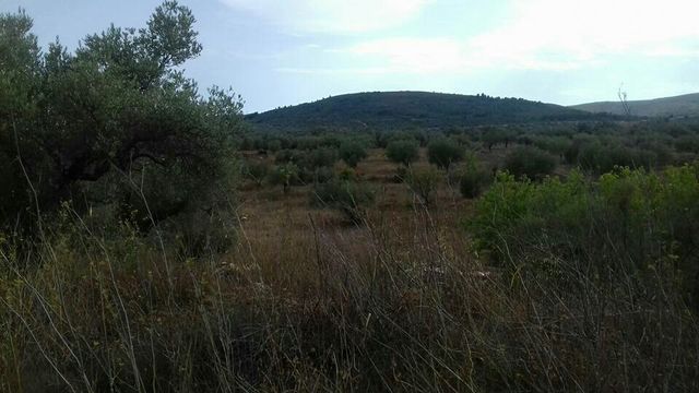 Vendo terreno posibilidad de vivienda.