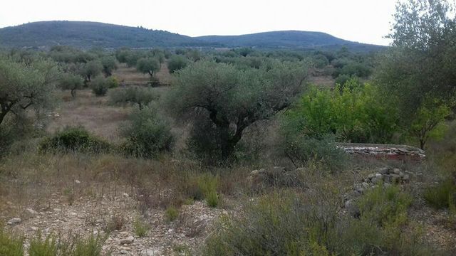 Vendo terreno posibilidad de vivienda.