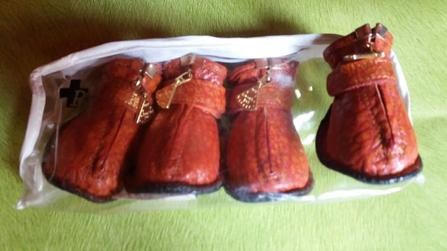 BOTAS PASEO PERRO. TALLA L