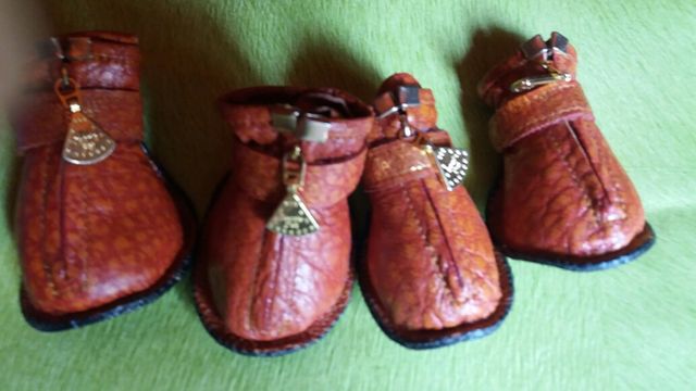 BOTAS PASEO PERRO. TALLA L