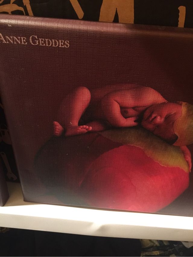 Cuadros bebes 3 Anne Geddes  !!