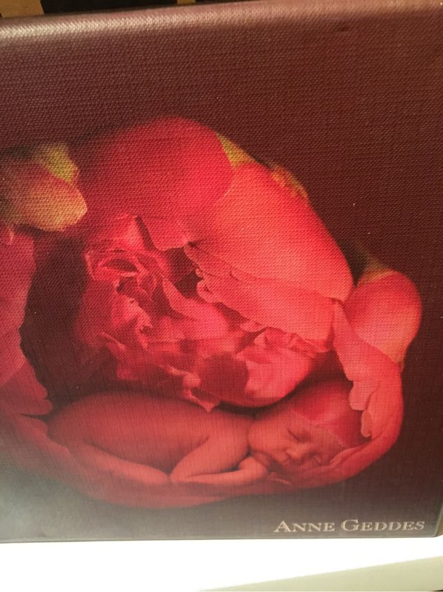 Cuadros bebes 3 Anne Geddes  !!