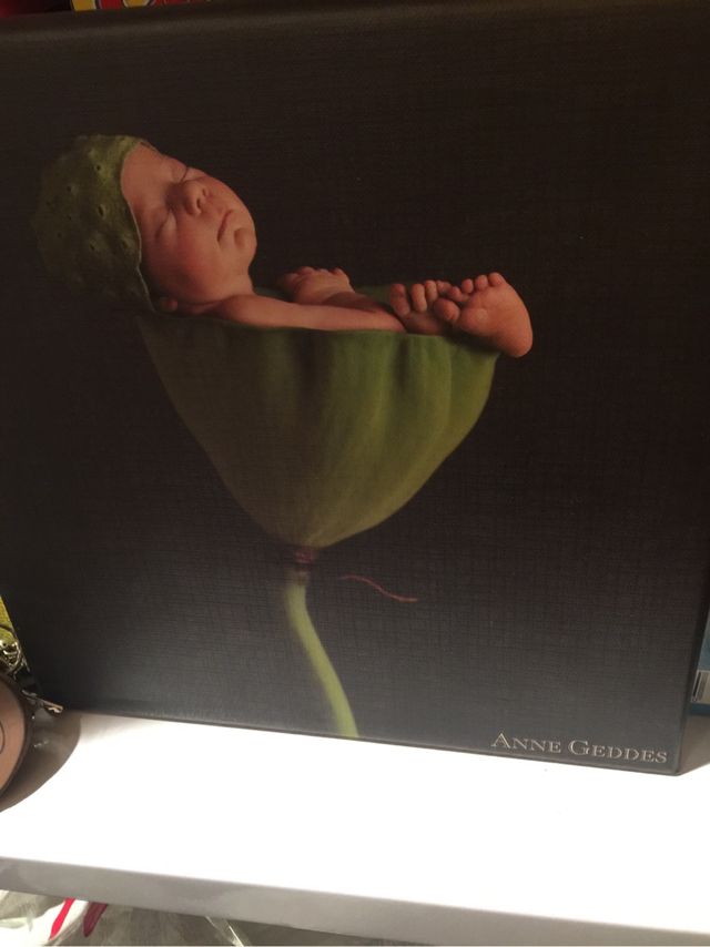 Cuadros bebes 3 Anne Geddes  !!