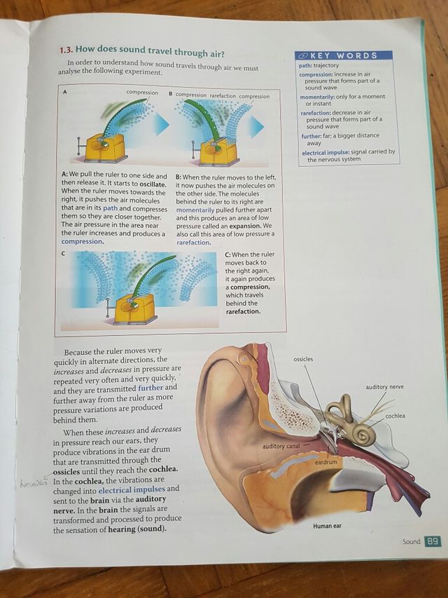 Natural sciences Oxford Clil