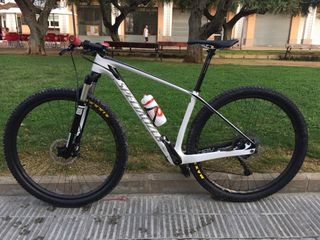Specialized stumpjumper carbon