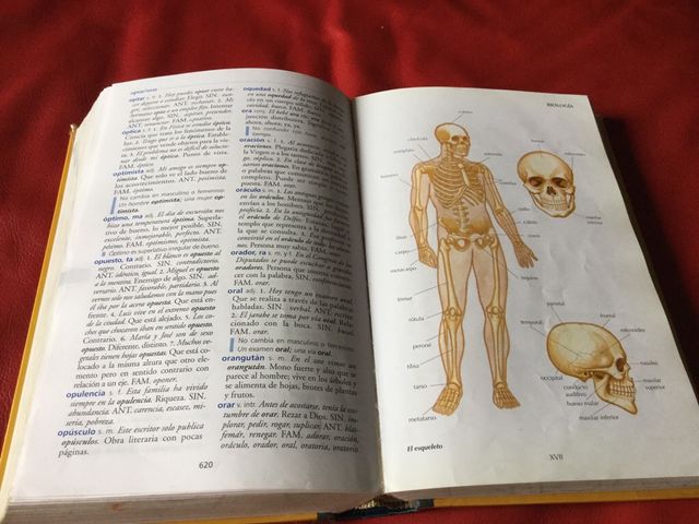 Diccionario primaria