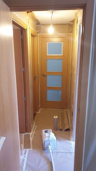 Lacar puertas, armarios. Pintar pisos, alisar...