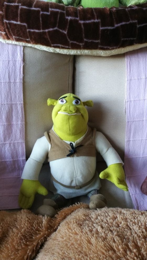 Shrek de peluche. 35 cm.
