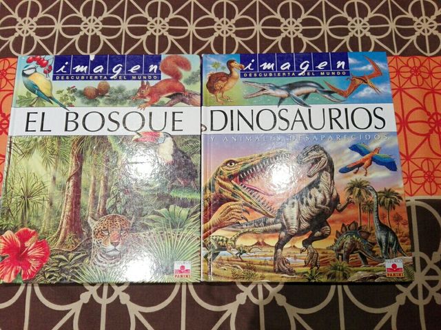 Libro infantil educativo