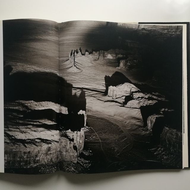 Marilyn Bridges - This land is your land