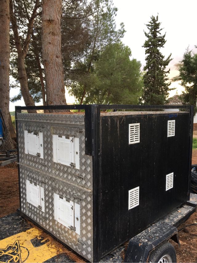 Remolque perros ( solo cajon )