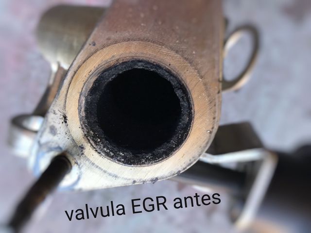 Limpieza filtro particulas