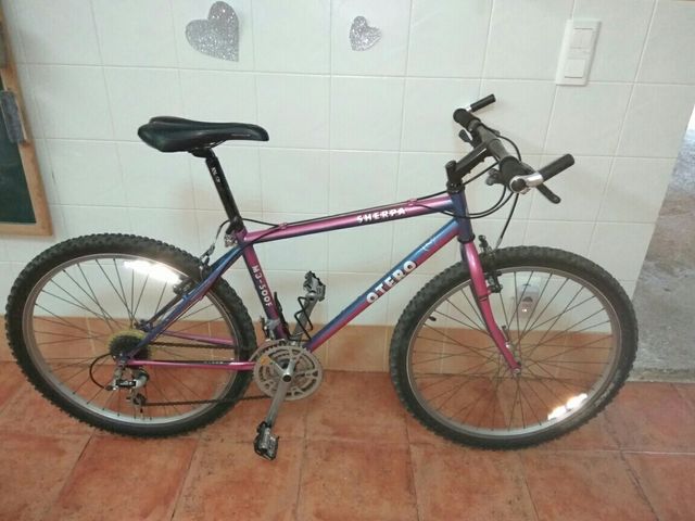 Bicicleta