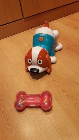 perrito andarin