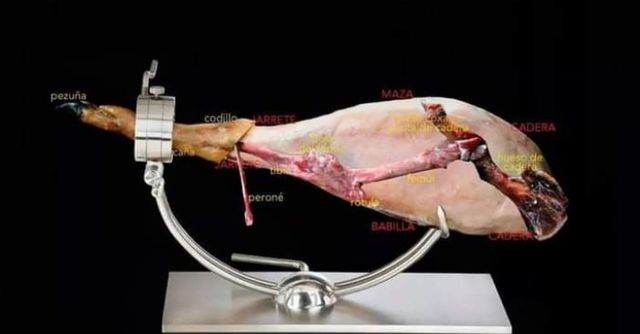 Taglierina per prosciutto