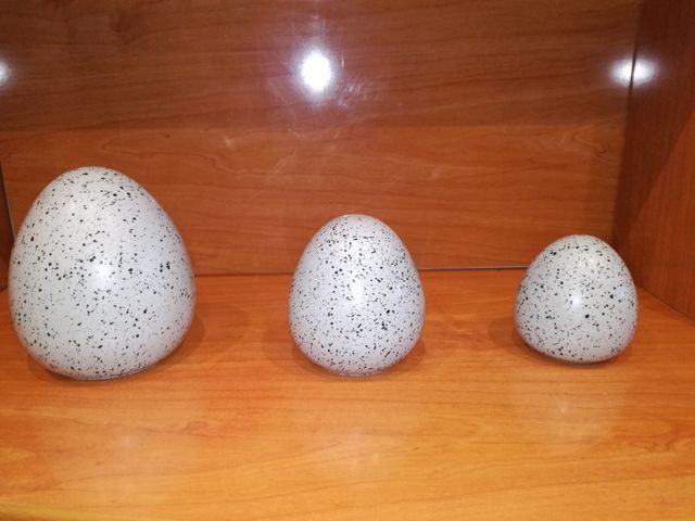 OPORTUNIDAD!!! Huevos de decoración
