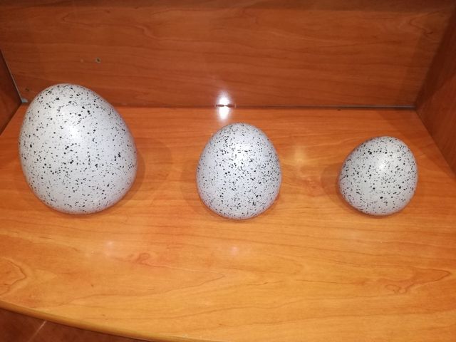 OPORTUNIDAD!!! Huevos de decoración