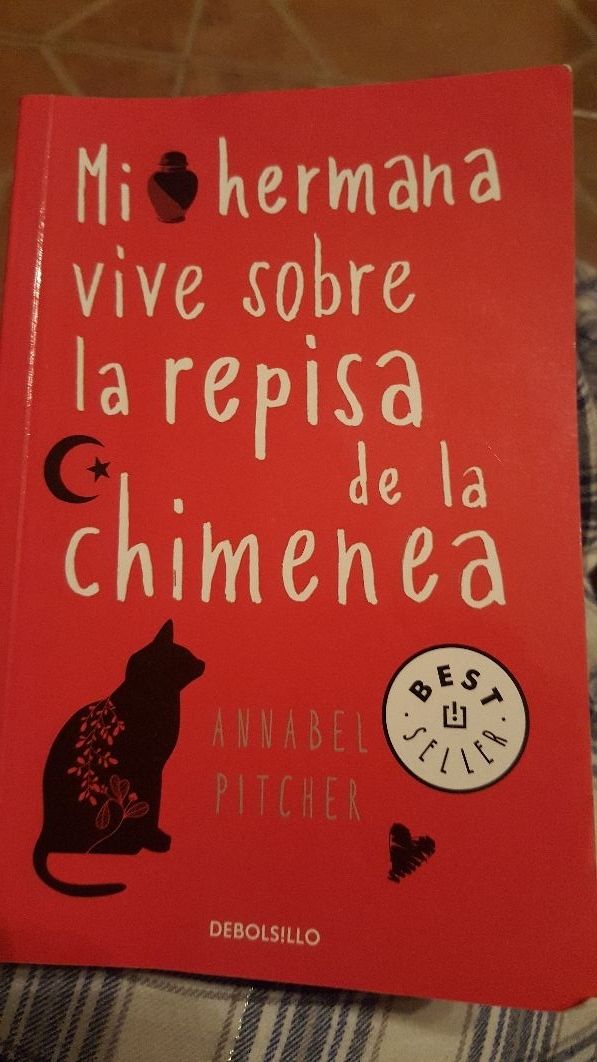 Mi hermana vive sobre la repisa de la chimenea