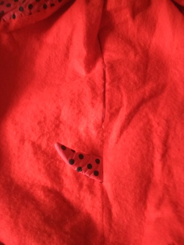 disfraz para  adulto