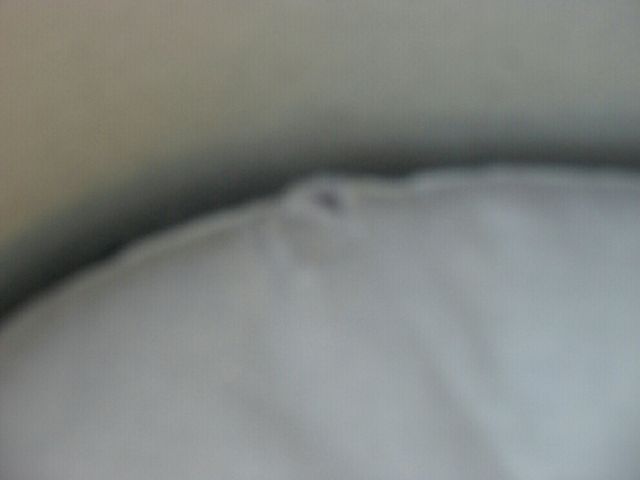 capazo windoo bebe confort