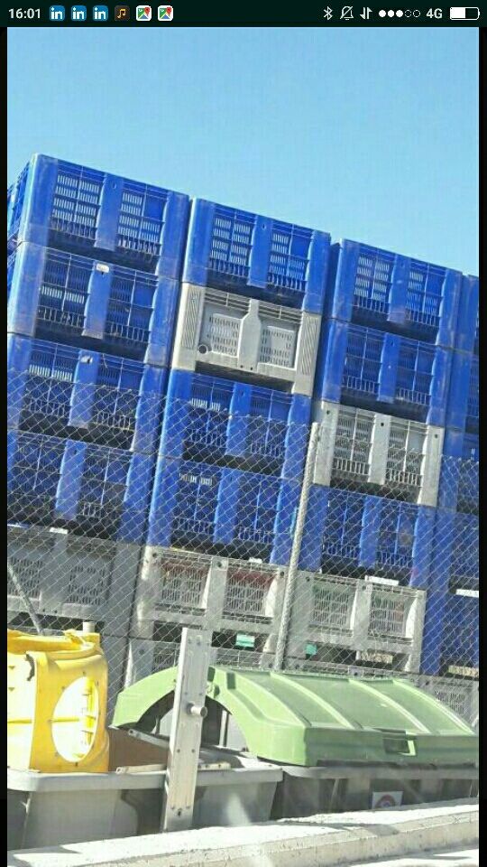 Reparación Palots Box