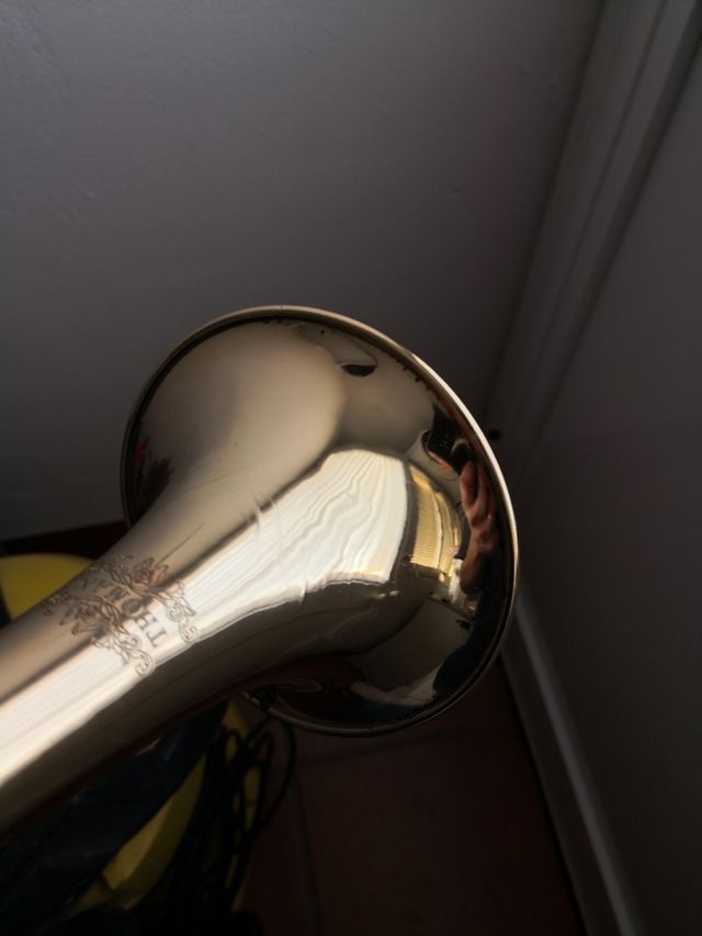 Limpieza instrumentos musicales y reparación.