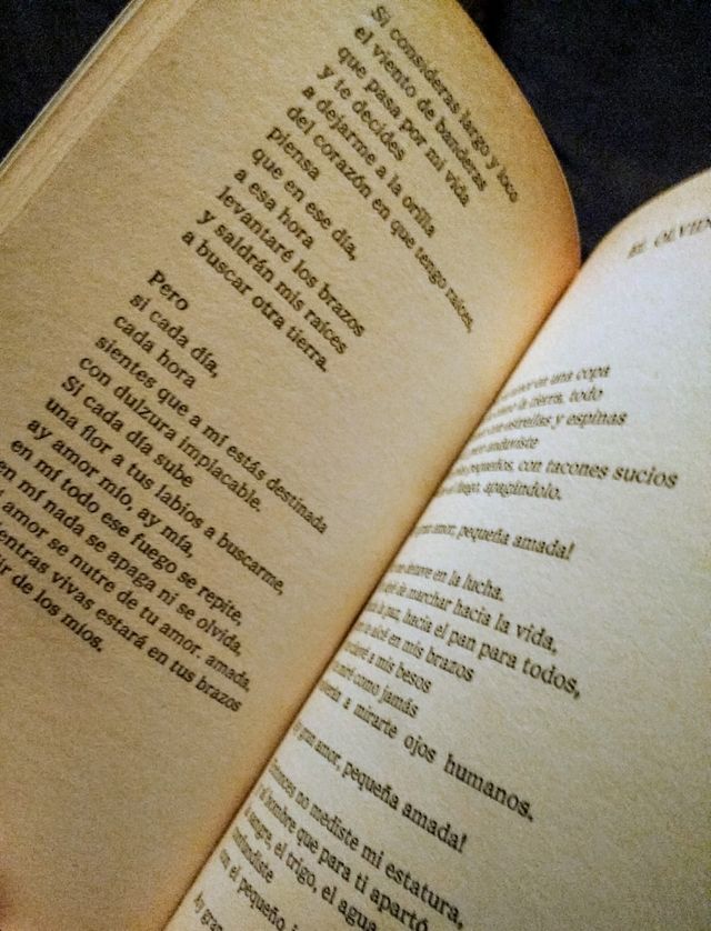 Los versos del Capitán - Pablo Neruda