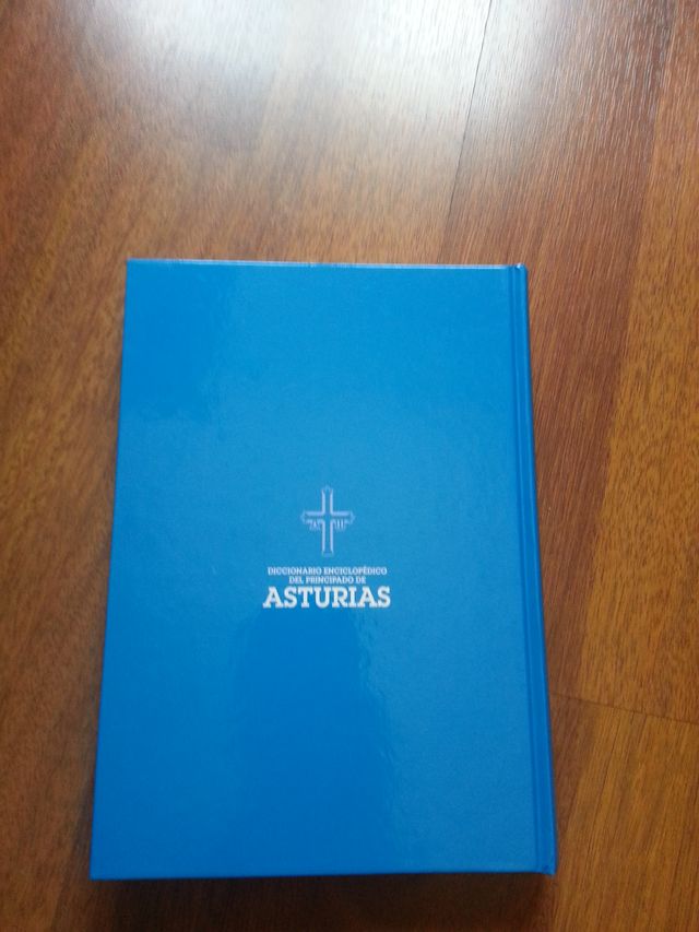 Diccionario enciclopedico de Asturias Tomo 1