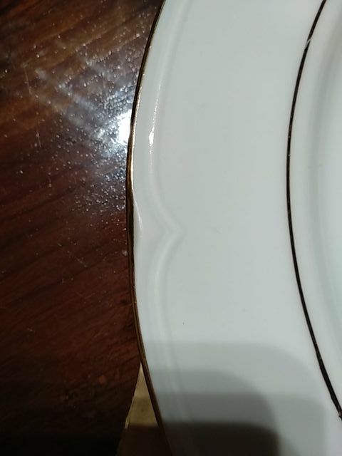 vajilla Santa Clara filo de Oro Completa