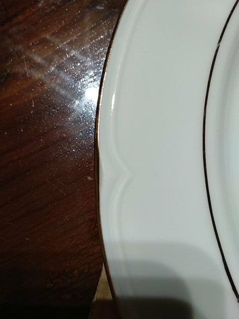 vajilla Santa Clara filo de Oro Completa