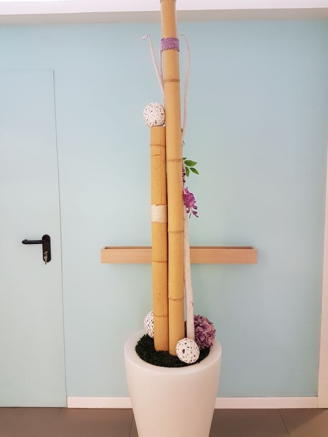 Macetero decoración con diseño