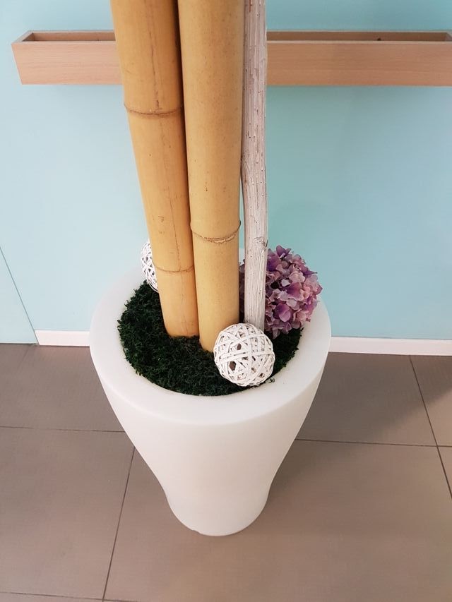 Macetero decoración con diseño