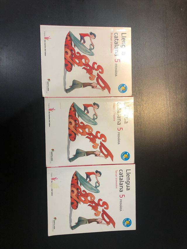 Libros catalá Santillana, Els camins del Saber