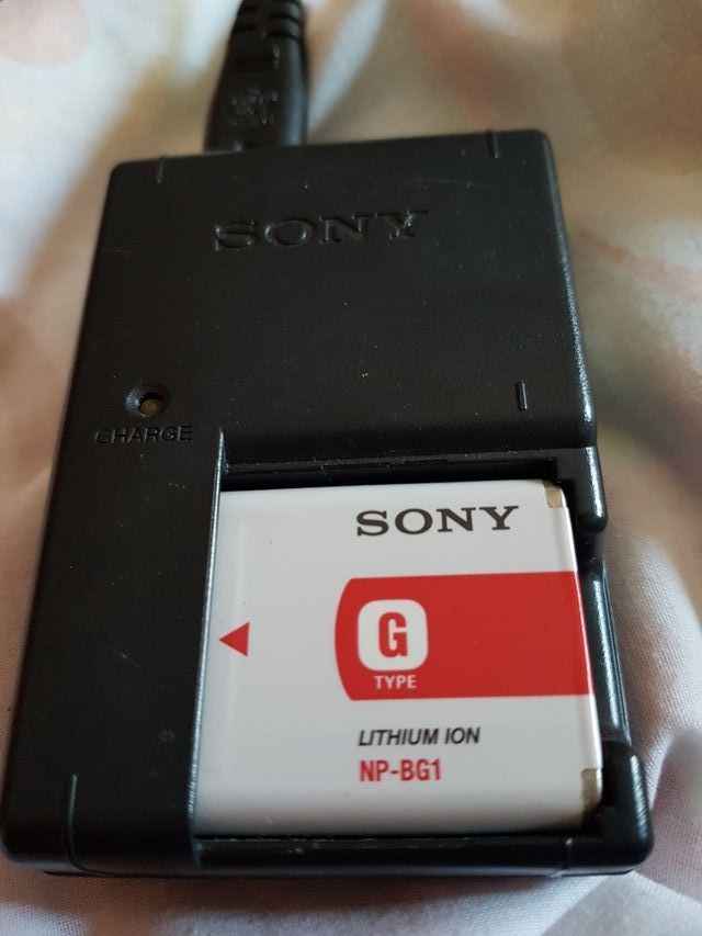 Cargador y batería Sony