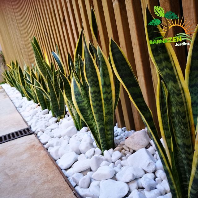 fuentes de jardin de segunda mano fuente jard 237 n zen chill out jardiner 237 a de segunda mano fuentes de jardin de segunda mano fuente jard 237 n zen chill out jardiner 237 a de segunda mano