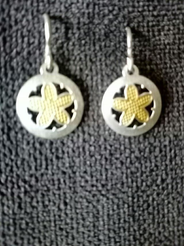 Pendientes de colgar