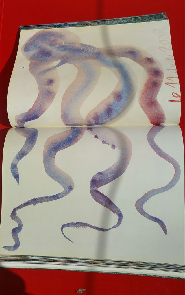 EL MAR DE BARCELÓ-ARTIST'S BOOK CREATIVE PROCESS