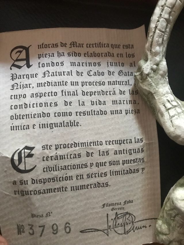 PIEZA ÚNICA DEL FONDO DEL MAR