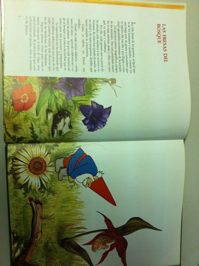 Libro Historias De Gnomos 1986