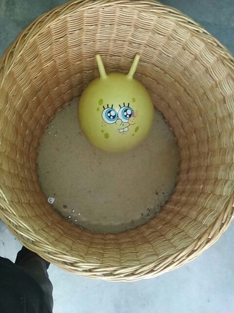 cesto de mimbre gigante