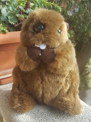 peluche castor ikea